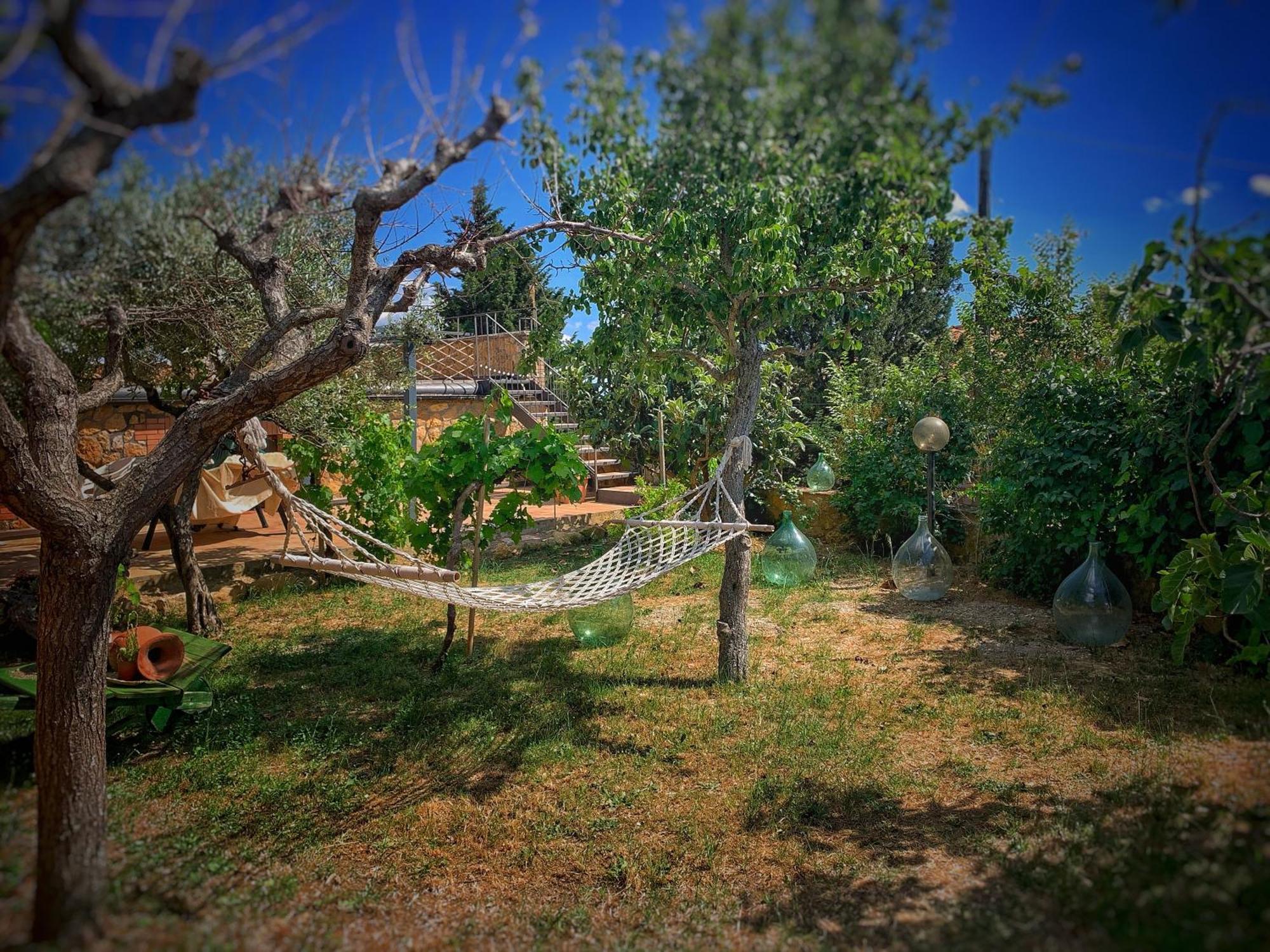 Agriturismo Il Casato - Il Torchio Pienza Eksteriør bilde
